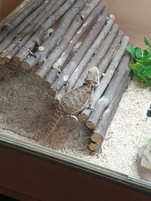 Pingles Pet Store Picture 7