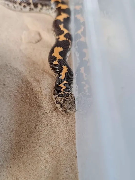 Pingles Pet Store Picture 4