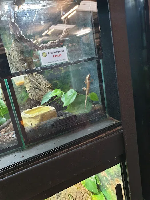 Pingles Pet Store Picture 5