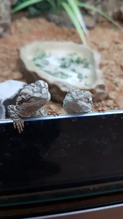 Pingles Pet Store Picture 8