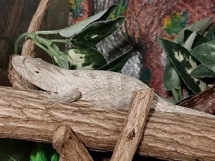 Pingles Pet Store Picture 10