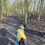 Izzy & Finn's Hound Boutique