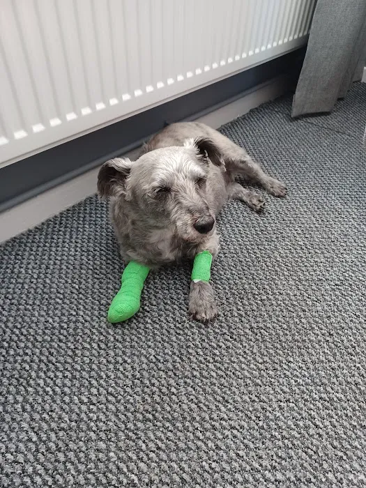 Kings Veterinary Centre Picture 1