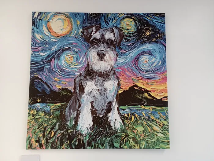 Kings Veterinary Centre Picture 5