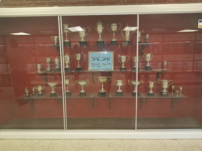 Louella Pigeon World Picture 4