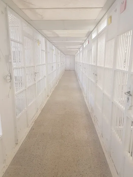 Louella Pigeon World Picture 7