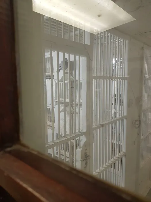 Louella Pigeon World Picture 5