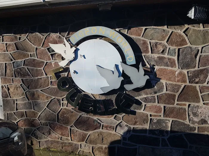 Louella Pigeon World Picture 8