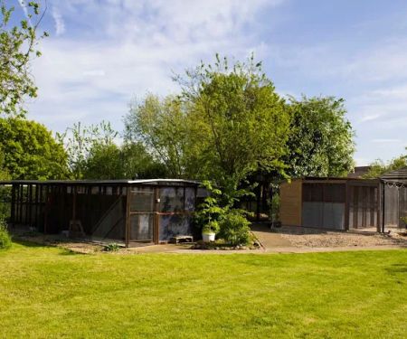 Queniborough Cattery