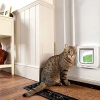 Leicester Catflap Fitter ico