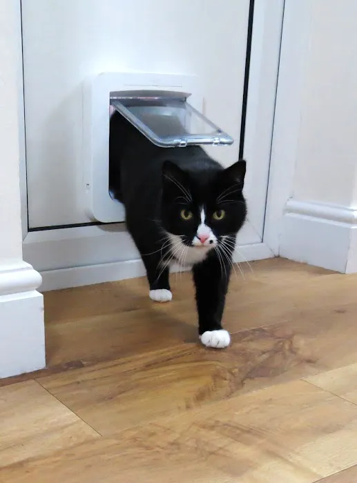 Leicester Catflap Fitter Picture 6