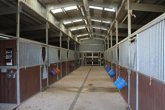 Chine House Veterinary Hospital Picture 8