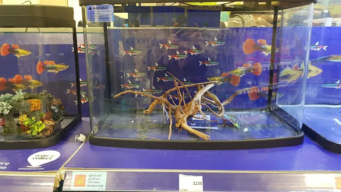 Pets at Home Craigavon Picture 6