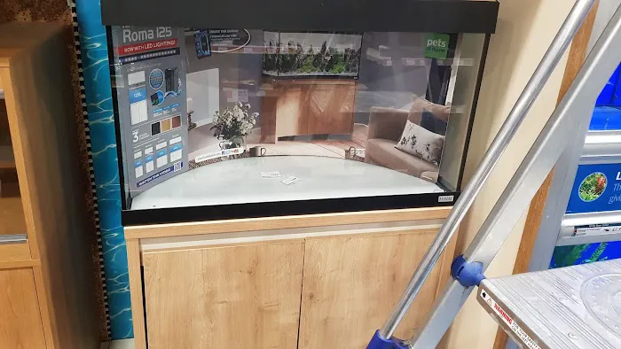 Pets at Home Craigavon Picture 9