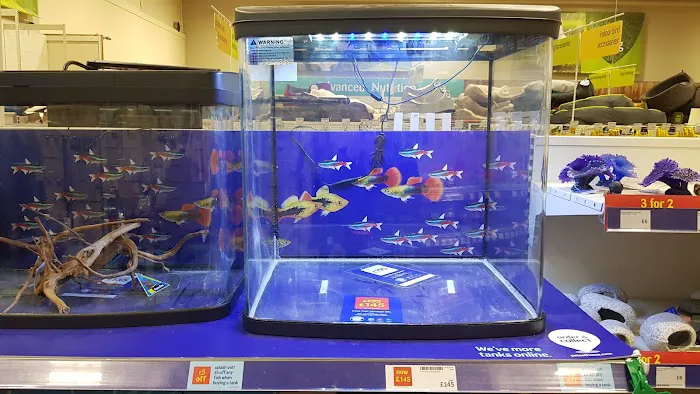 Pets at Home Craigavon Picture 7