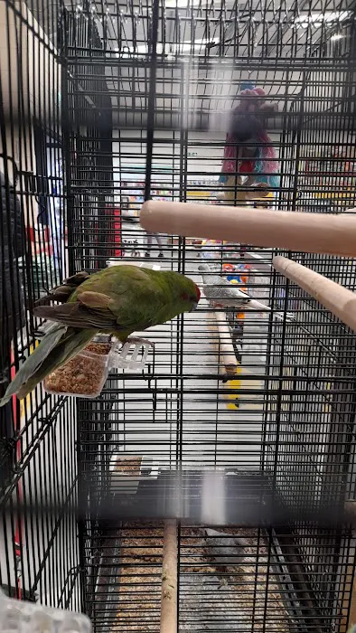 Jollyes - The Pet People Lurgan Picture 4