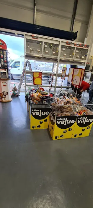 Jollyes - The Pet People Lurgan Picture 5