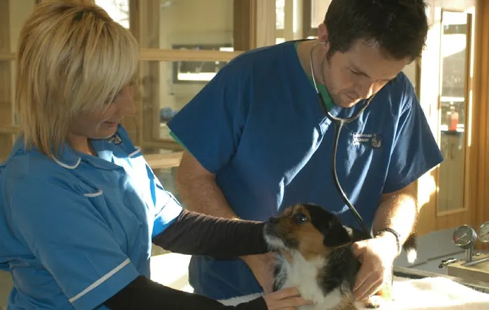 Greenmount Vets Portdown Picture 10
