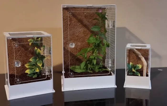 Mantis N.I Picture 2