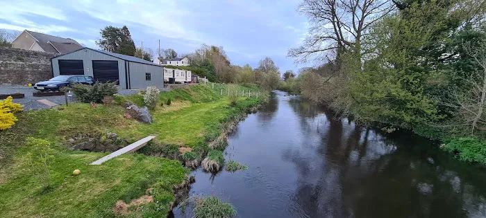 Mantis N.I Picture 6