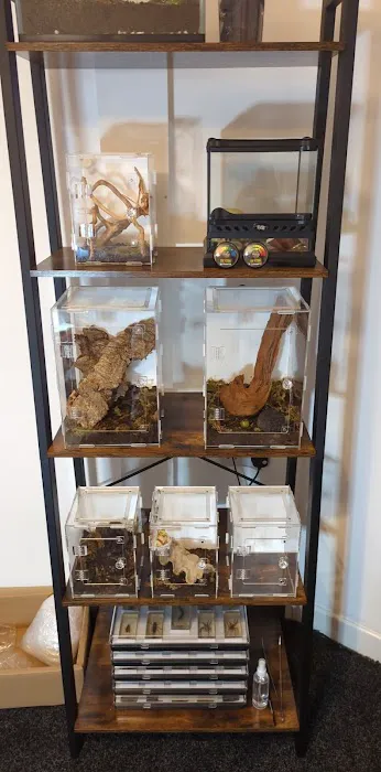 Mantis N.I Picture 1