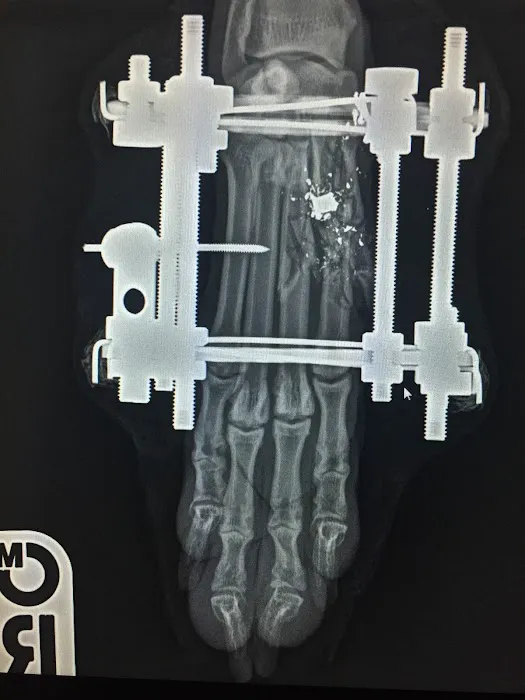VetOrtho Referrals Picture 4