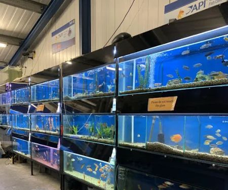 Craigavon Koi & Aquatics