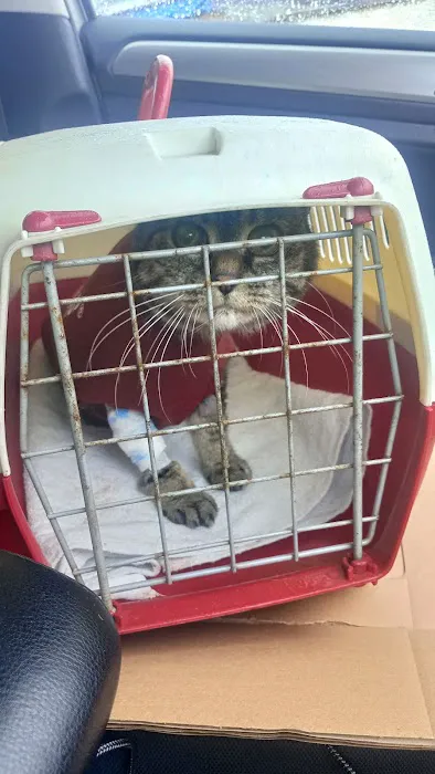 Willow Veterinary Clinic Picture 4