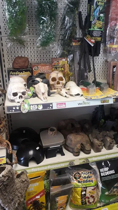 Madd Pets & Reptiles Picture 1