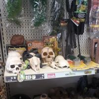 Madd Pets & Reptiles ico