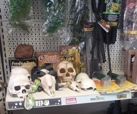 Madd Pets & Reptiles