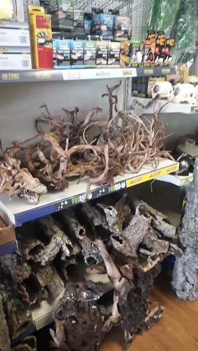 Madd Pets & Reptiles Picture 2