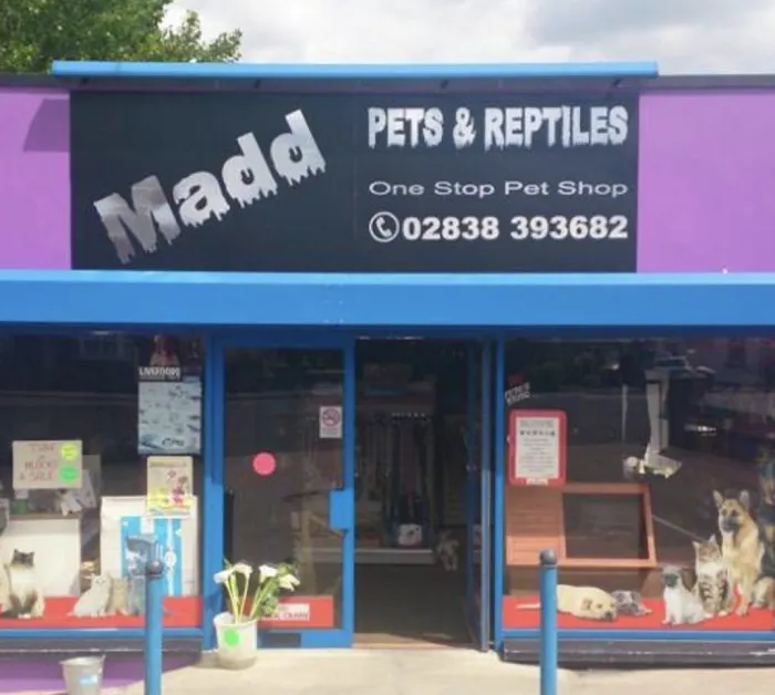 Madd Pets & Reptiles Picture 3