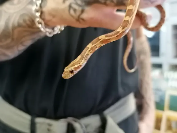 Madd Pets & Reptiles Picture 6