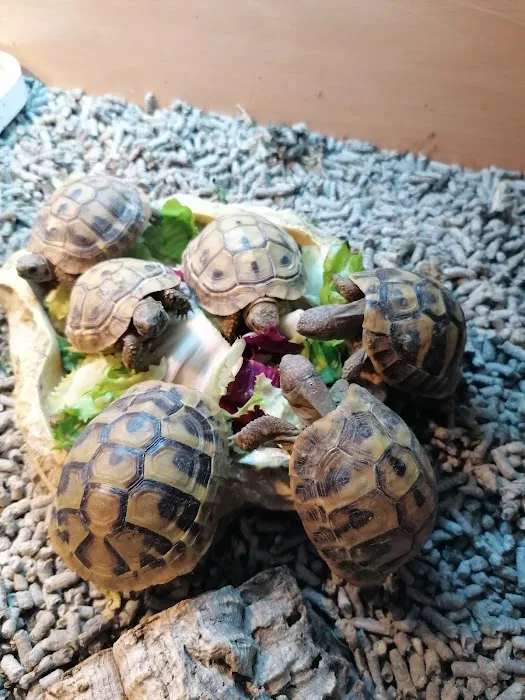 Madd Pets & Reptiles Picture 4