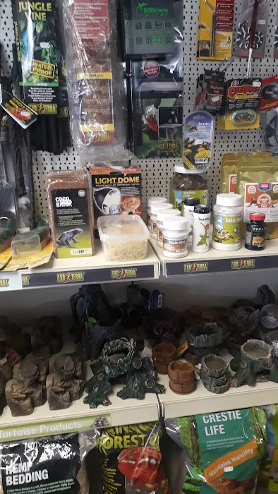 Madd Pets & Reptiles Picture 5