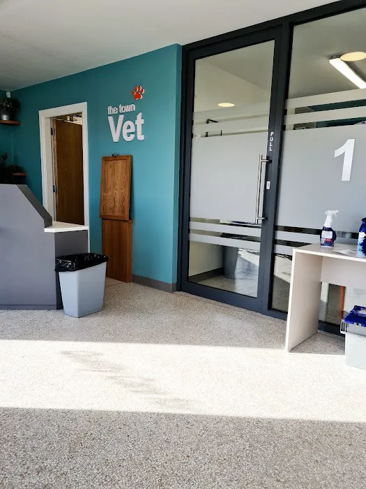 The Town Vets Picture 6