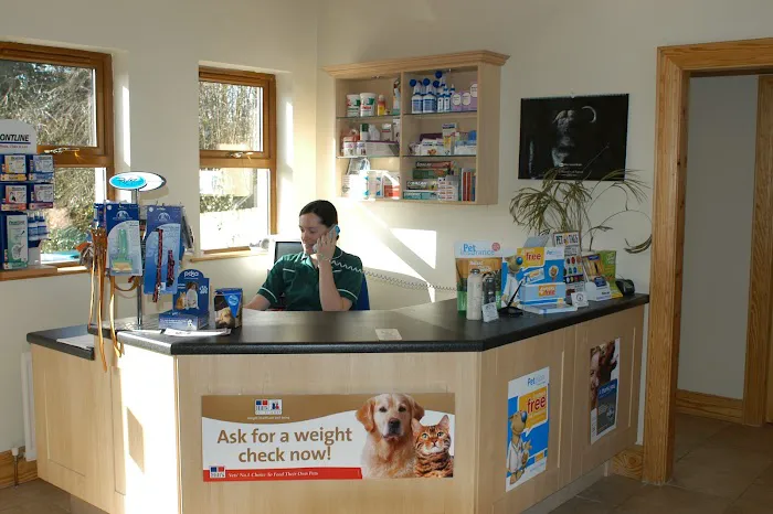 VetOrtho Referrals Picture 1