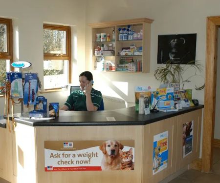 VetOrtho Referrals