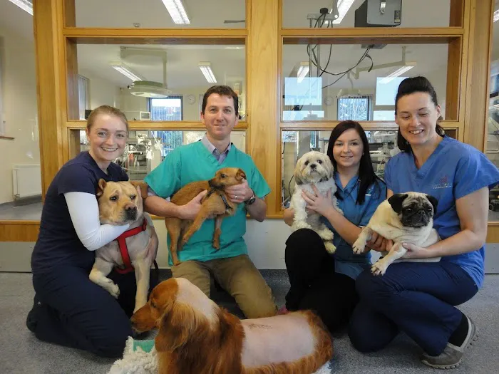 VetOrtho Referrals Picture 7