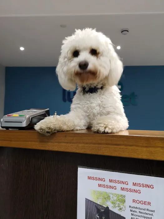 Lurgan Veterinary Clinic Picture 1