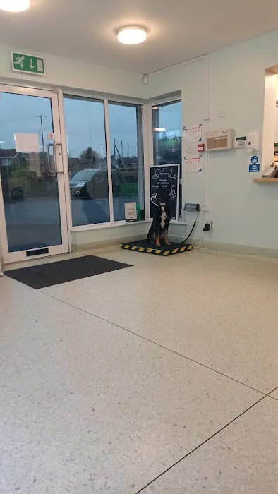 Iveagh Vets Picture 1
