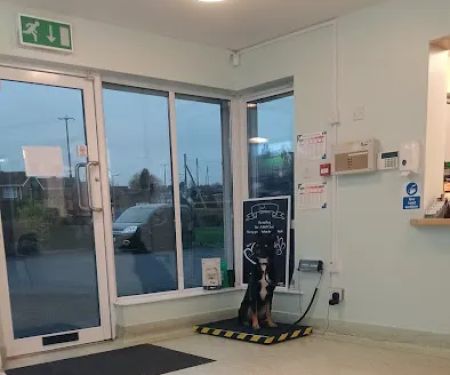 Iveagh Vets