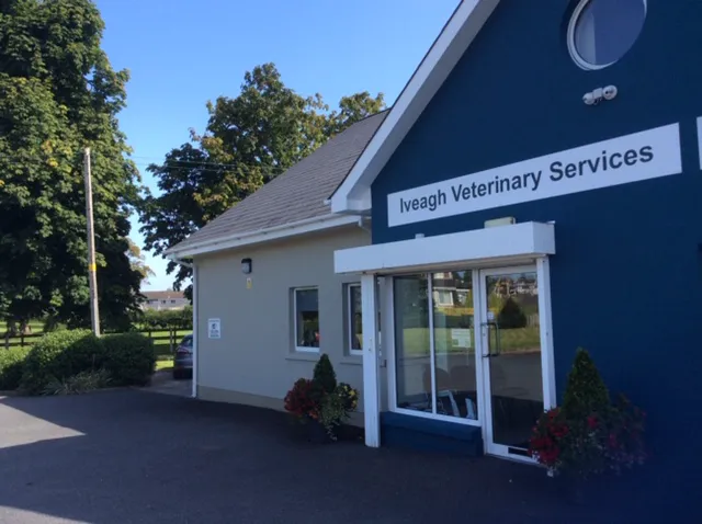 Iveagh Vets Picture 2