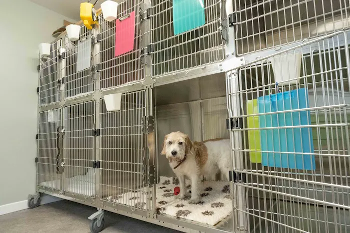 Affinity Veterinary Clinic Picture 4