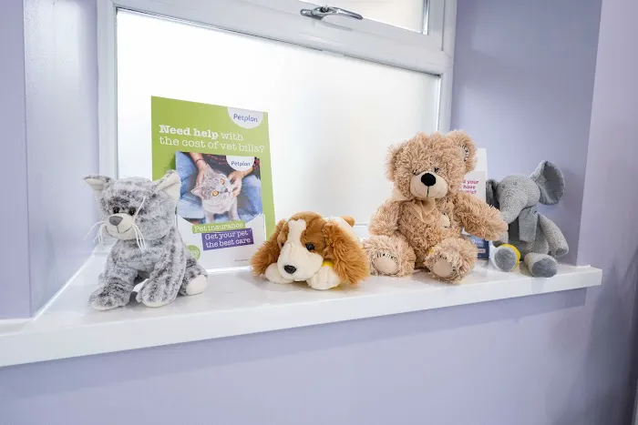 Affinity Veterinary Clinic Picture 10