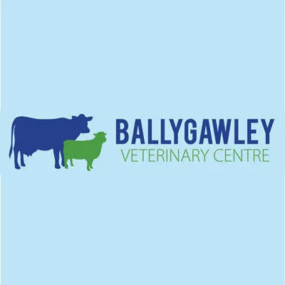Ballygawley Veterinary Centre - Tamnamore Picture 2
