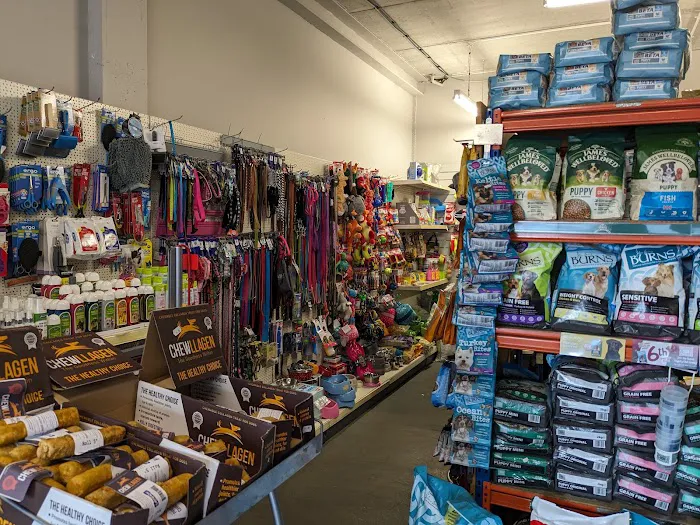 O My Dog! Pet Supplies Picture 1