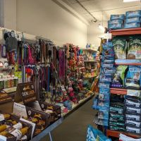 O My Dog! Pet Supplies ico