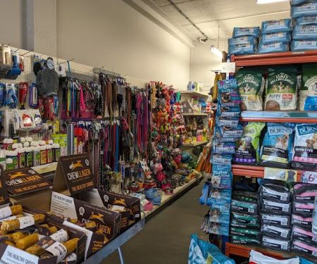 O My Dog! Pet Supplies